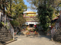 At Norbulingka, colours of Tibetan art alive but thinning as youngsters drift away - Hindi News | At Norbulingka, colours of Tibetan art alive but thinning as youngsters drift away | Latest international News at Lokmattimes.com