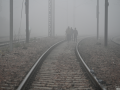 Dense fog disrupts flights, trains across North India - Hindi News | Dense fog disrupts flights, trains across North India | Latest national News at Lokmattimes.com