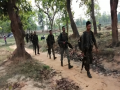 Security forces foil major Maoist plot in Chhattisgarh - Hindi News | Security forces foil major Maoist plot in Chhattisgarh | Latest national News at Lokmattimes.com
