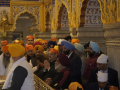 Veer Bal Diwas: JP Nadda offers prayers at Gurdwara Sis Ganj Sahib - Hindi News | Veer Bal Diwas: JP Nadda offers prayers at Gurdwara Sis Ganj Sahib | Latest national News at Lokmattimes.com