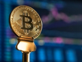 Bitcoin slumps 30 pc from record highs in 2025 - Hindi News | Bitcoin slumps 30 pc from record highs in 2025 | Latest business News at Lokmattimes.com