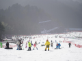 Child dies in travelator accident at Japan's Hokkaido ski resort - Hindi News | Child dies in travelator accident at Japan's Hokkaido ski resort | Latest international News at Lokmattimes.com
