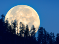 On Paush Purnima, first ‘Wolf Supermoon’ to light up the sky today - Hindi News | On Paush Purnima, first ‘Wolf Supermoon’ to light up the sky today | Latest national News at Lokmattimes.com