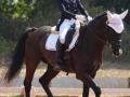 Mumbai’s Stasya Pandya wins silver at Junior National Equestrian C'ship - Hindi News | Mumbai’s Stasya Pandya wins silver at Junior National Equestrian C'ship | Latest other-sports News at Lokmattimes.com