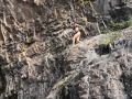 Fatima Sana Shaikh shares her enlightening experience with cliff jumping: 'Just take the leap' - Hindi News | Fatima Sana Shaikh shares her enlightening experience with cliff jumping: 'Just take the leap' | Latest entertainment News at Lokmattimes.com