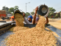 Telangana achieves record paddy procurement of 70.82 lakh tonnes - Hindi News | Telangana achieves record paddy procurement of 70.82 lakh tonnes | Latest business News at Lokmattimes.com