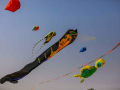 International kite festival begins in Hyderabad - Hindi News | International kite festival begins in Hyderabad | Latest national News at Lokmattimes.com
