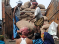 Food inflation for farm and rural labourers stays in negative zone during December - Hindi News | Food inflation for farm and rural labourers stays in negative zone during December | Latest national News at Lokmattimes.com