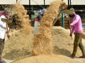 Govt finalises 70‑year lease for Basmati organic farming training centre in UP - Hindi News | Govt finalises 70‑year lease for Basmati organic farming training centre in UP | Latest technology News at Lokmattimes.com