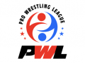 Organisers to launch Pro Wrestling League-based gaming app to keep fans engaged: PWL Chairman Dayaan Farooqui - Hindi News | Organisers to launch Pro Wrestling League-based gaming app to keep fans engaged: PWL Chairman Dayaan Farooqui | Latest other-sports News at Lokmattimes.com