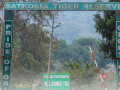 Village relocation in Satkosia Tiger Reserve under scrutiny: OHRC orders inquiry committee - Hindi News | Village relocation in Satkosia Tiger Reserve under scrutiny: OHRC orders inquiry committee | Latest national News at Lokmattimes.com