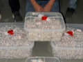 Gujarat: Second consignment of stolen silver recovered in Rajkot theft case, suspect in custody - Hindi News | Gujarat: Second consignment of stolen silver recovered in Rajkot theft case, suspect in custody | Latest national News at Lokmattimes.com