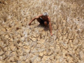 Maha forms task force to curb farmer suicides - Hindi News | Maha forms task force to curb farmer suicides | Latest national News at Lokmattimes.com
