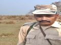 Forest guard killed, another injured in rhino attack in Kaziranga National Park - Hindi News | Forest guard killed, another injured in rhino attack in Kaziranga National Park | Latest national News at Lokmattimes.com