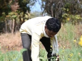 Saur Sujala Yojana improves irrigation, raises farm income in Chhattisgarh's Mohbhatta village - Hindi News | Saur Sujala Yojana improves irrigation, raises farm income in Chhattisgarh's Mohbhatta village | Latest national News at Lokmattimes.com
