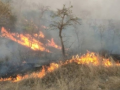 Firefight in Arunachal forests continues for fifth day - Hindi News | Firefight in Arunachal forests continues for fifth day | Latest national News at Lokmattimes.com