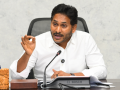 Ruckus in Andhra Council over irregularities in Tirumala ghee contracts - Hindi News | Ruckus in Andhra Council over irregularities in Tirumala ghee contracts | Latest national News at Lokmattimes.com