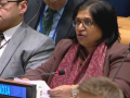 India rejects proposal for third category of UNSC membership as ploy to delay reforms  - Hindi News | India rejects proposal for third category of UNSC membership as ploy to delay reforms  | Latest national News at Lokmattimes.com