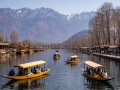 Srinagar records highest Feb maximum temperature at 21 degrees C - Hindi News | Srinagar records highest Feb maximum temperature at 21 degrees C | Latest national News at Lokmattimes.com