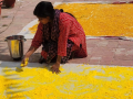 Aromatherapy-based gulal being prepared in Bhagalpur for Holi, women associated with SHGs leading unique initiative - Hindi News | Aromatherapy-based gulal being prepared in Bhagalpur for Holi, women associated with SHGs leading unique initiative | Latest national News at Lokmattimes.com