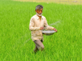 Govt assures steady fertiliser supplies through import diversification, capacity expansion - Hindi News | Govt assures steady fertiliser supplies through import diversification, capacity expansion | Latest technology News at Lokmattimes.com