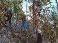 Troops swiftly douse forest fire near India-Myanmar check post in Manipur - Hindi News | Troops swiftly douse forest fire near India-Myanmar check post in Manipur | Latest national News at Lokmattimes.com