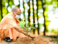 Making UP green state: Over 242 crore saplings planted in nine years - Hindi News | Making UP green state: Over 242 crore saplings planted in nine years | Latest national News at Lokmattimes.com