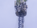 Woman climbs mobile tower in Bihar's Gopalganj demanding her lover's release - Hindi News | Woman climbs mobile tower in Bihar's Gopalganj demanding her lover's release | Latest national News at Lokmattimes.com