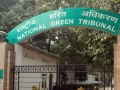 NGT transfers case on alleged felling of 90 trees in Rajasthan’s Dholpur to Bhopal Bench - Hindi News | NGT transfers case on alleged felling of 90 trees in Rajasthan’s Dholpur to Bhopal Bench | Latest national News at Lokmattimes.com