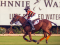 Polo: Jaipur register commanding win over Nahargarh in Shree Cement Cup - Hindi News | Polo: Jaipur register commanding win over Nahargarh in Shree Cement Cup | Latest other-sports News at Lokmattimes.com