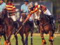Jaipur Polo Team reaches final of Shree Cement Cup - Hindi News | Jaipur Polo Team reaches final of Shree Cement Cup | Latest other-sports News at Lokmattimes.com