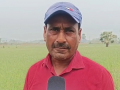 Not dependent on loans anymore: Jharkhand farmers hail PM-KISAN scheme - Hindi News | Not dependent on loans anymore: Jharkhand farmers hail PM-KISAN scheme | Latest national News at Lokmattimes.com