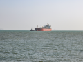 All 22 Indian seafarers on 2 foreign ships targeted by Iranian forces safe: Shipping Ministry - Hindi News | All 22 Indian seafarers on 2 foreign ships targeted by Iranian forces safe: Shipping Ministry | Latest business News at Lokmattimes.com