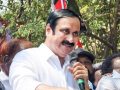PMK‘s Anbumani Ramadoss blames DMK govt for rise in illicit liquor trade in TN - Hindi News | PMK‘s Anbumani Ramadoss blames DMK govt for rise in illicit liquor trade in TN | Latest national News at Lokmattimes.com