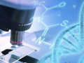 BioE3 advances India’s gene‑editing and cell therapy drive: Minister - Hindi News | BioE3 advances India’s gene‑editing and cell therapy drive: Minister | Latest business News at Lokmattimes.com