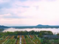 Kashmir to host major business event in April; 20 states to participate - Hindi News | Kashmir to host major business event in April; 20 states to participate | Latest business News at Lokmattimes.com