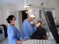 National Dental Commission to transform dental education, healthcare quality: Govt - Hindi News | National Dental Commission to transform dental education, healthcare quality: Govt | Latest national News at Lokmattimes.com