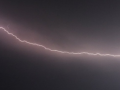 Bihar: Lightning kills 6, injures 10 others - Hindi News | Bihar: Lightning kills 6, injures 10 others | Latest national News at Lokmattimes.com