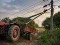 Two killed in MP as tractor-trolley hits overhead power line - Hindi News | Two killed in MP as tractor-trolley hits overhead power line | Latest national News at Lokmattimes.com