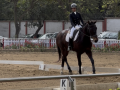 Mumbai's Stasya Pandya clinches dual Team medals at Delhi Horse Show 2026 - Hindi News | Mumbai's Stasya Pandya clinches dual Team medals at Delhi Horse Show 2026 | Latest other-sports News at Lokmattimes.com