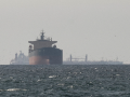 India among top countries using Hormuz route to move oil tankers amid tough times - Hindi News | India among top countries using Hormuz route to move oil tankers amid tough times | Latest business News at Lokmattimes.com
