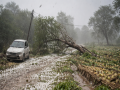 Hailstorm, strong winds batter MP; deaths reported, several injured - Hindi News | Hailstorm, strong winds batter MP; deaths reported, several injured | Latest national News at Lokmattimes.com