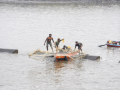 India’s annual fish production doubles over 10 years - Hindi News | India’s annual fish production doubles over 10 years | Latest business News at Lokmattimes.com