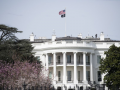 Victory for US: White House after Iran strike pause - Hindi News | Victory for US: White House after Iran strike pause | Latest international News at Lokmattimes.com