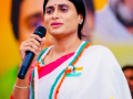 Andhra: Sharmila slams brother Jagan for departure from YSR’s ideals​ - Hindi News | Andhra: Sharmila slams brother Jagan for departure from YSR’s ideals​ | Latest national News at Lokmattimes.com