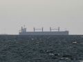 South Korea shared information with Iran on Korean ships stranded in Strait of Hormuz: Report - Hindi News | South Korea shared information with Iran on Korean ships stranded in Strait of Hormuz: Report | Latest international News at Lokmattimes.com