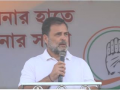 Congress pins hope on Malda, but multi-cornered contest likely to split anti-BJP votes - Hindi News | Congress pins hope on Malda, but multi-cornered contest likely to split anti-BJP votes | Latest national News at Lokmattimes.com