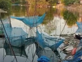 Biofloc Technology boosts fish farming in Palamu under PMMSY, farmers see rise in income - Hindi News | Biofloc Technology boosts fish farming in Palamu under PMMSY, farmers see rise in income | Latest national News at Lokmattimes.com