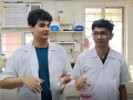 Vadodara students' landmark research finds glowing bacteria in Ratnagiri waters - Hindi News | Vadodara students' landmark research finds glowing bacteria in Ratnagiri waters | Latest technology News at Lokmattimes.com