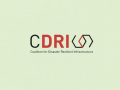 CDRI calls for investment in disaster resilient infrastructure - Hindi News | CDRI calls for investment in disaster resilient infrastructure | Latest national News at Lokmattimes.com
